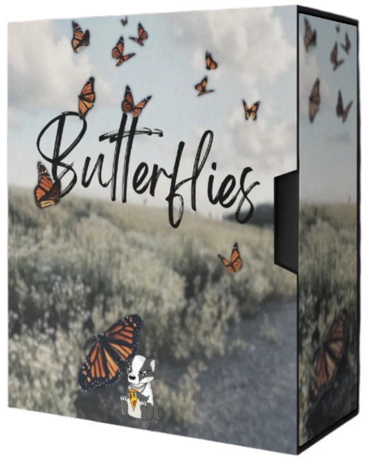 Butterflies - Melodic Guitar Beat Pack